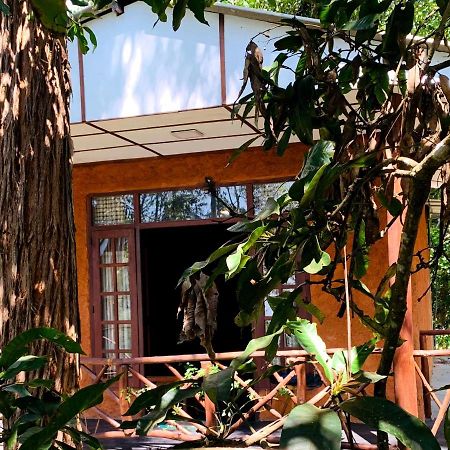 The Nirwana Cottage Ella Ngoại thất bức ảnh