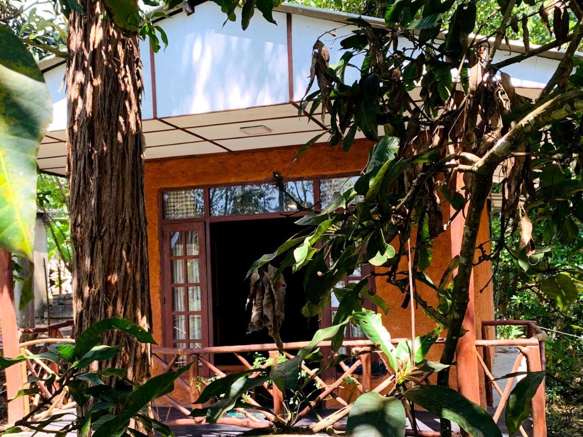 The Nirwana Cottage Ella Ngoại thất bức ảnh